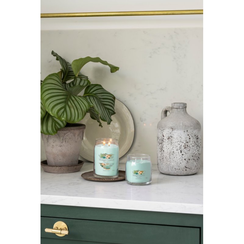 Yankee Candle Aloe & Agave wax candle Cylinder Blue 1 pc(s)