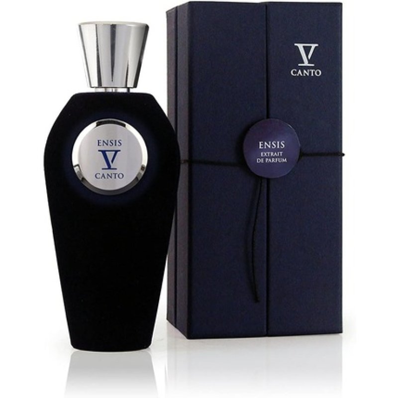 V Hand Ensis 100ml