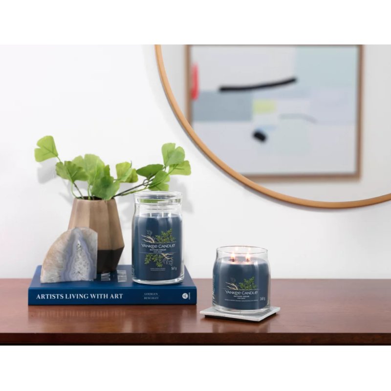 Yankee Candle Bayside Cedar wax candle Cylinder Amber, Grapefruit, Mandarin Blue 1 pc(s)