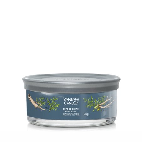 Yankee Candle Bayside Cedar bougie en cire Rond Ambre, Pamplemousse, Mandarin Bleu 1 pièce(s)