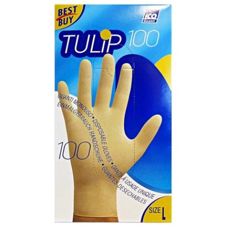 Disposable Gloves Household Size L 100 Pairs
