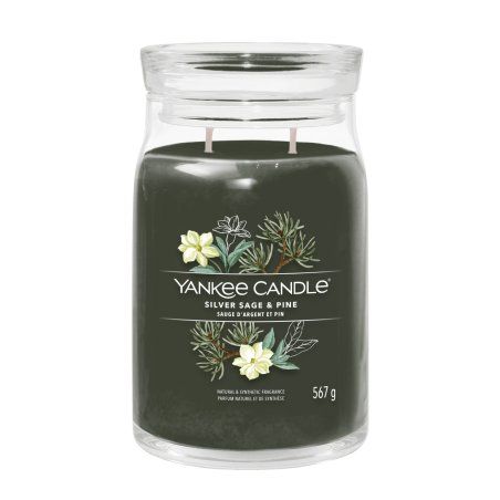 Yankee Candle Silver Sage & Pine bougie en cire Cylindre Bois Vert 1 pièce(s)