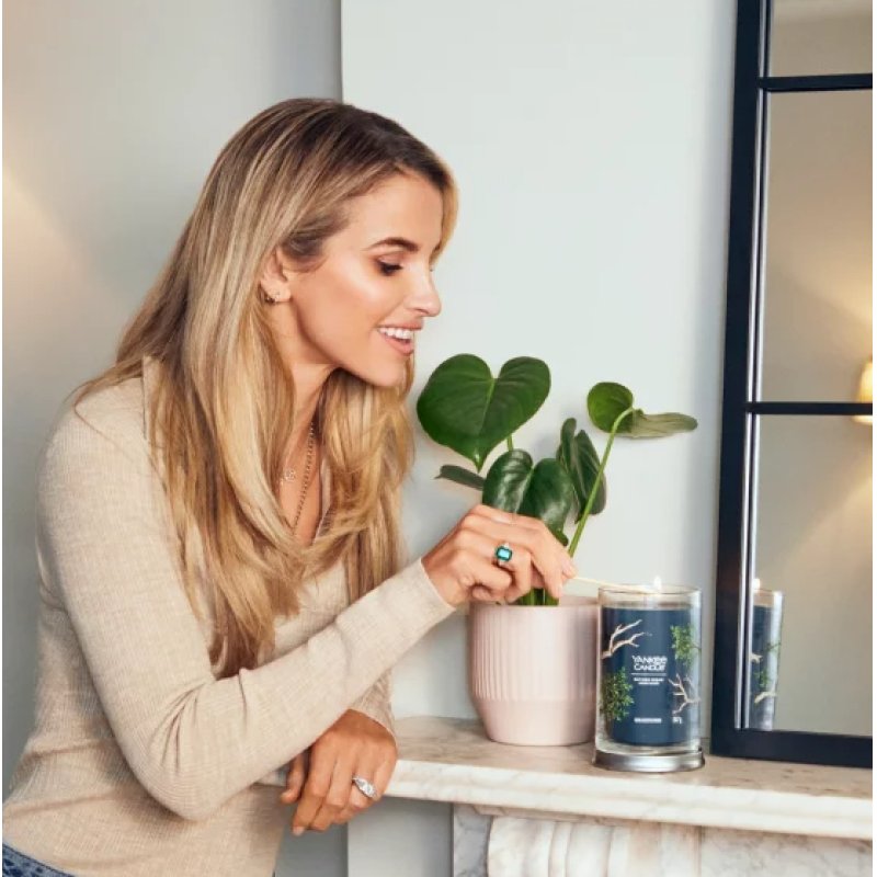 Yankee Candle 1744755E wax candle Cylinder CEDAR Blue 1 pc(s)