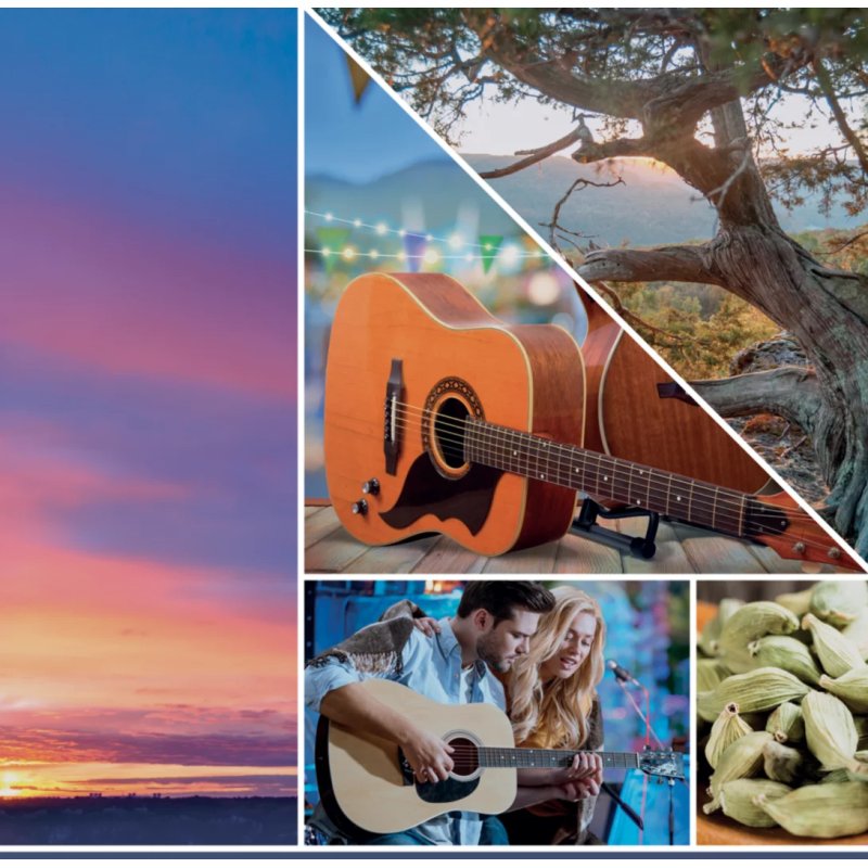 Yankee Candle Twilight Tunes bougie en cire Cylindre Cardamone, Bois Bleu 1 pièce(s)