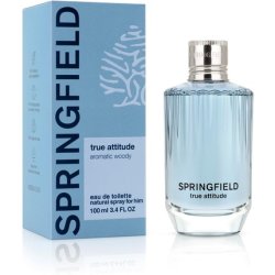 Springfield True Attitude 100 VAP -D