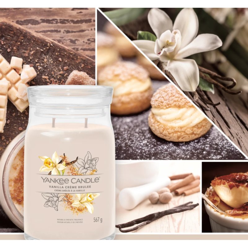 Yankee Candle Vanilla Crème Brûlée wax candle Cylinder Cinnamon, Vanilla Brown 1 pc(s)