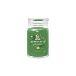 Yankee Candle 1743380E bougie en cire Cylindre Fir balsam, Dewy Greens, Épice Vert 1 pièce(s)