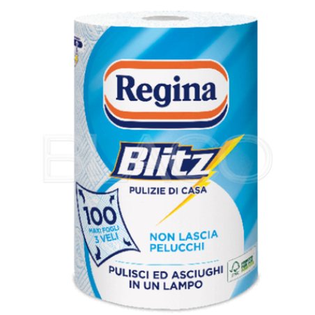 Regina Blitz Rotolo Asciugatutto