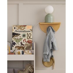 Converse All Star - Shelf - Mustard - 30x12x16 cm