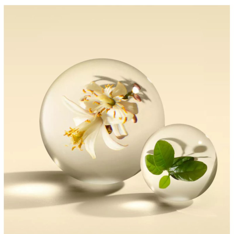 Molton Brown Orange Bergamot Eau De Parfum 100ml