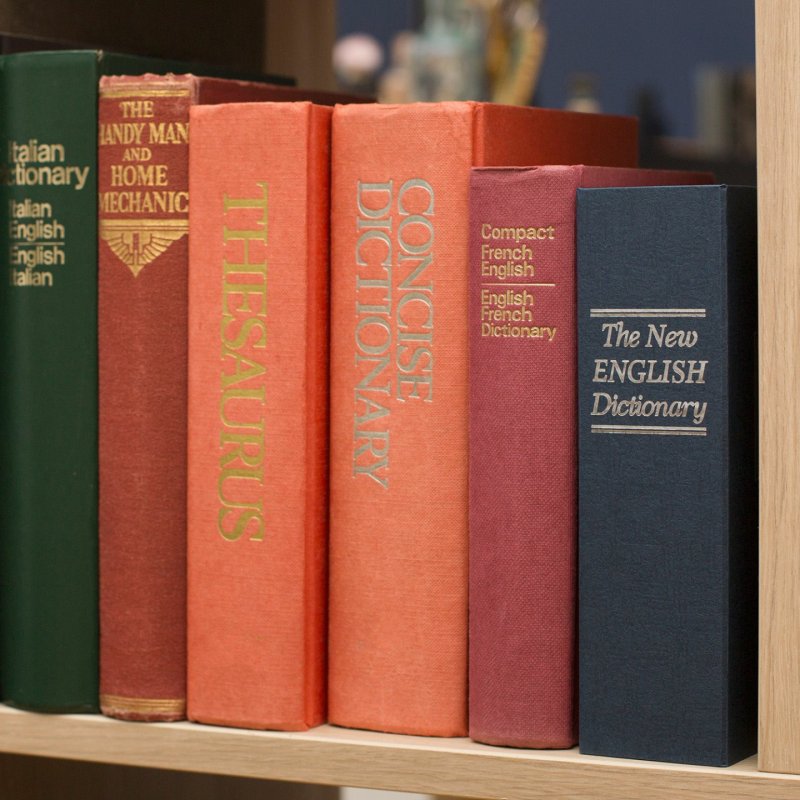 Mad Monkey - Books Vault