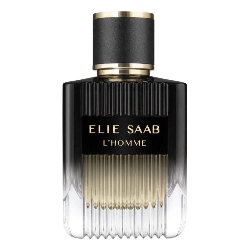 Elie Saab L'Homme 100 ml Hommes