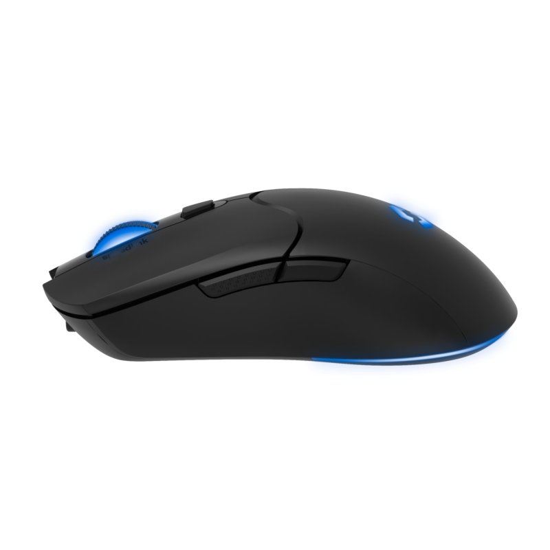 SPEEDLINK SL-680102-BK mouse Gaming USB Type-A 4800 DPI