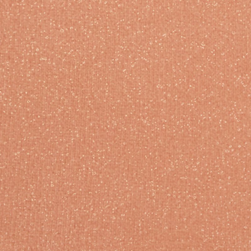 Naj-Oleari 581603 blush 4 g 03 Golden Biscuit Powder
