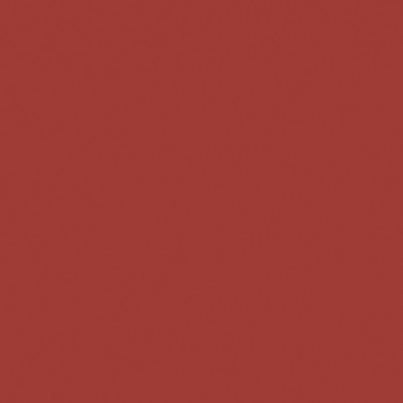 Naj-Oleari Forever Matte 4 g 09 Chestnut Pink Mat