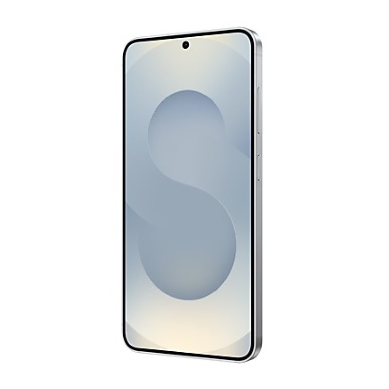 Samsung Galaxy S25 Enterprise Edition 15,8 cm (6.2") Double SIM Android 15 5G USB Type-C 12 Go 128 Go 4000 mAh Argent