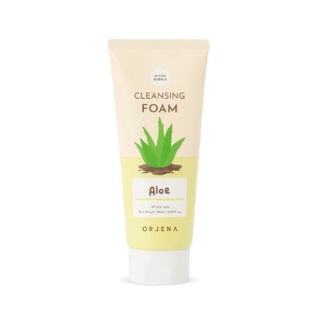 ORJENA Smile Day Aloe Cleansing Foam for Face Korean Skincare Deep Perfect Cleansing