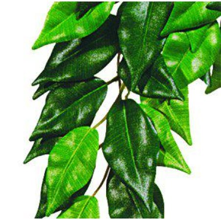 Exoterra - Ficus M - Green