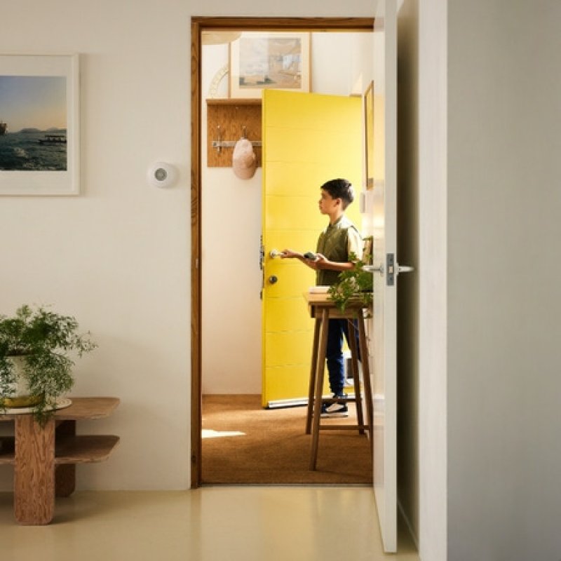 Yale Indoor Siren Sirène sans fil Intérieure Gris, Blanc