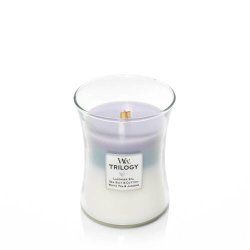 WoodWick 92965 bougie en cire Autres Eucalyptus, Lavande Bleu, Violet, Blanc 1 pièce(s)