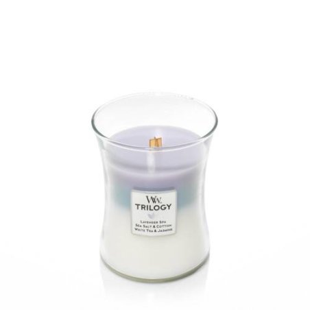 WoodWick 92965 bougie en cire Autres Eucalyptus, Lavande Bleu, Violet, Blanc 1 pièce(s)
