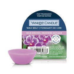 Yankee Candle 10.00664.0065 Fondant de cire aromatique