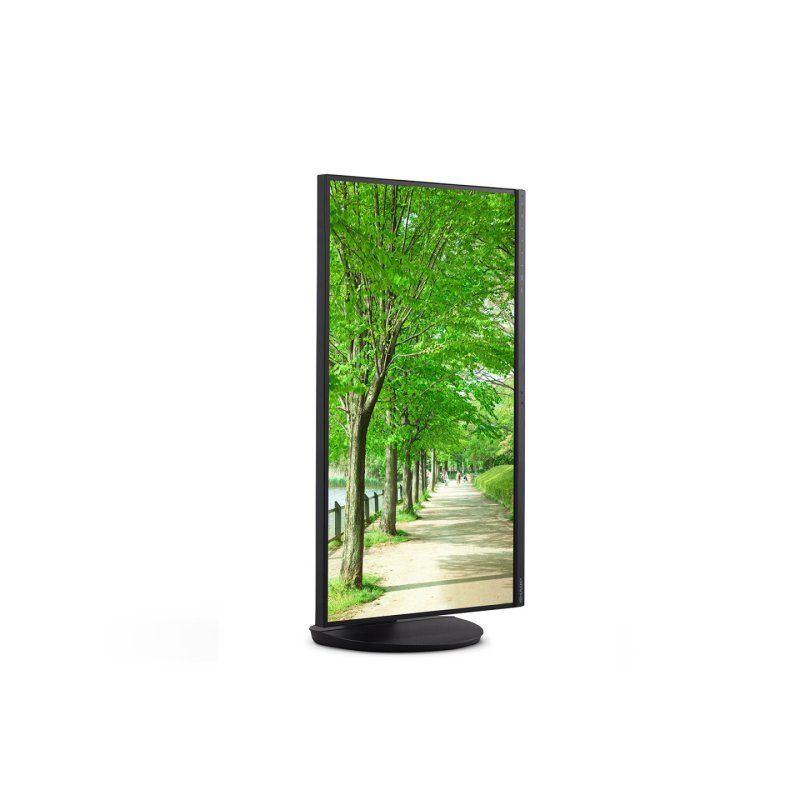 Sharp MultiSync EA272U écran plat de PC 68,6 cm (27") 3840 x 2160 pixels 4K Ultra HD LCD Noir