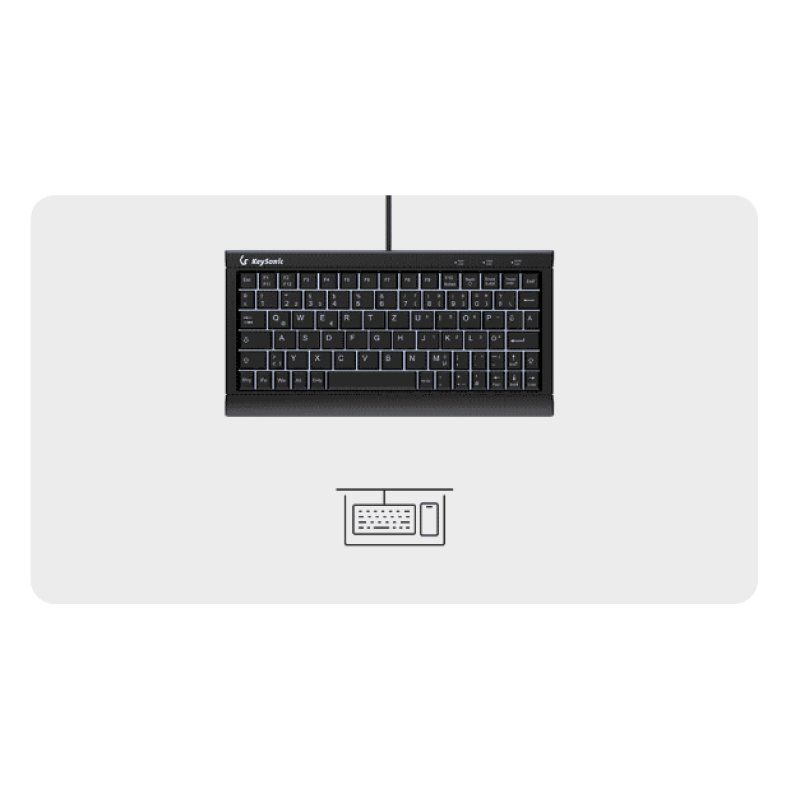 KeySonic KSK-3011ELC (DE) clavier Maison USB QWERTZ Allemand Noir