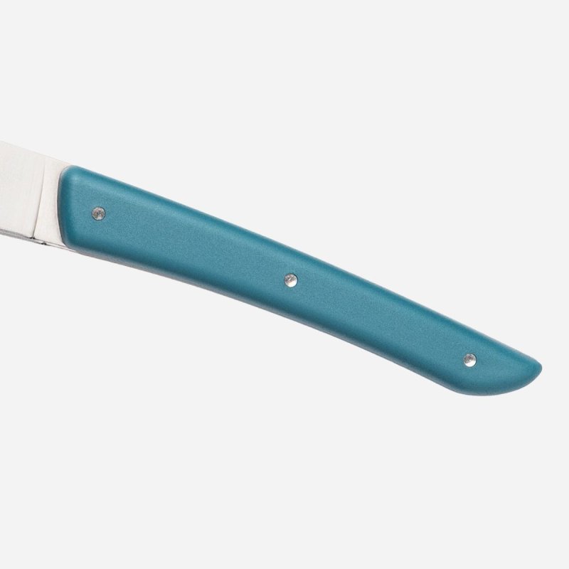 Berkel Steakmesser-Set 4-tlg. Color blu petrolio