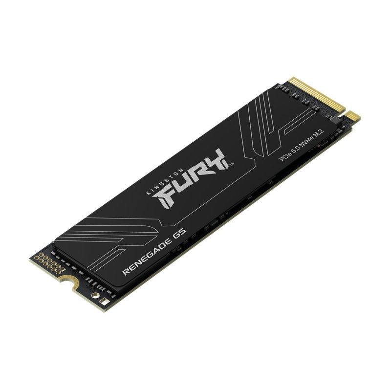 Kingston Technology 1T FURY RENEGADE G5 M.2 2280 NVMe SSD