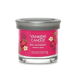 Yankee Candle Aromatic Candle Signature Tumbler Small Red Raspberry 122 Grams