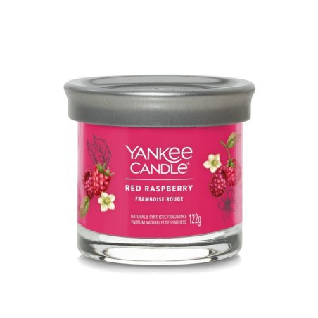 Yankee Candle Aromatic Candle Signature Tumbler Small Red Raspberry 122 Grams