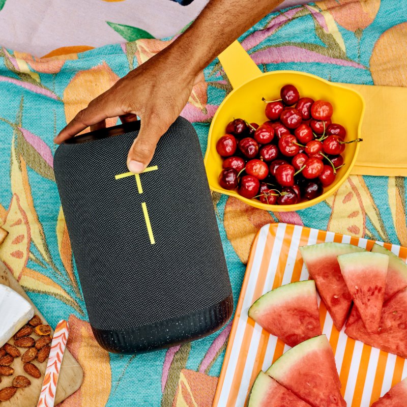 ULTIMATE EARS EPICBOOM CHARCOAL CHARCOAL BLACK BT-EMEA28-935