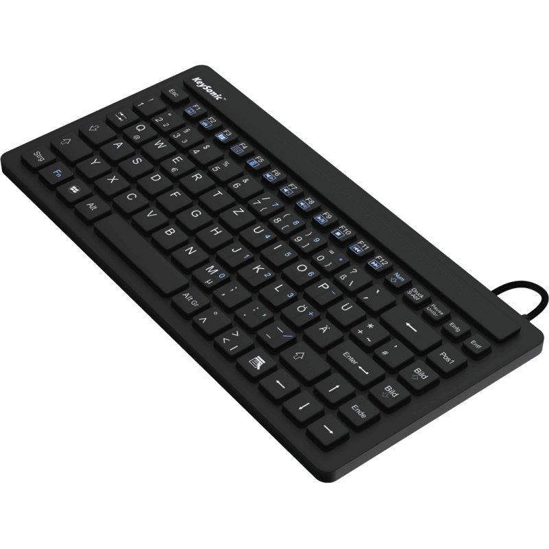 KeySonic KSK-3230 IN (US) keyboard Industrial USB QWERTY US English Black