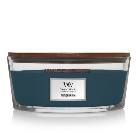 WoodWick Antiquarium bougie en cire Ellipse Cardamone, Tabac, Bois Bleu 1 pièce(s)