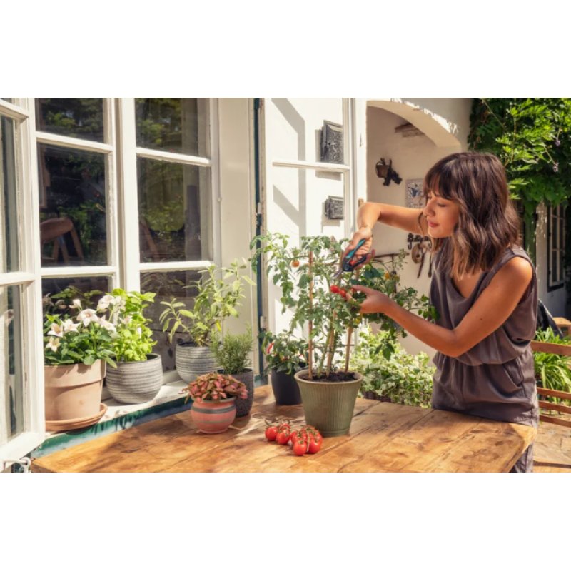 Gardena FreshCut - Aktion