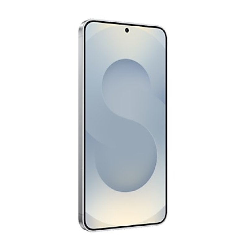 "Samsung Galaxy S25 S931 5G Dual Sim 12GB RAM 256GB Enterprise Edition - Silver Shadow "