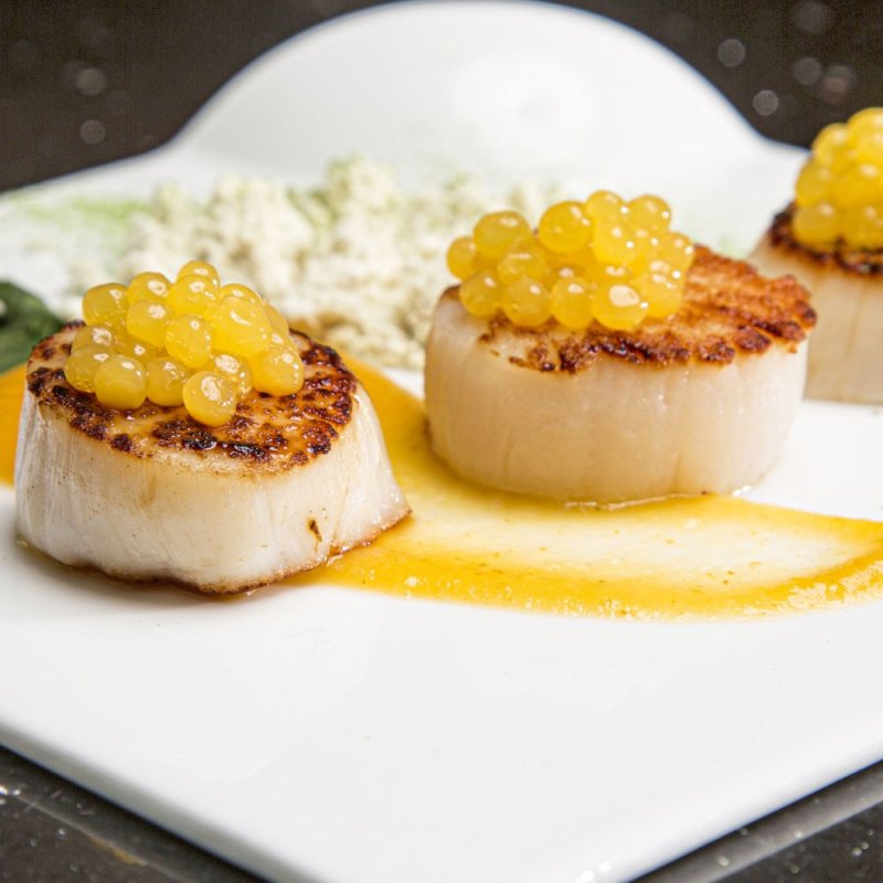 Rommelsbacher FD 500 appareil de décoration alimentaire Concepteur d'aliments