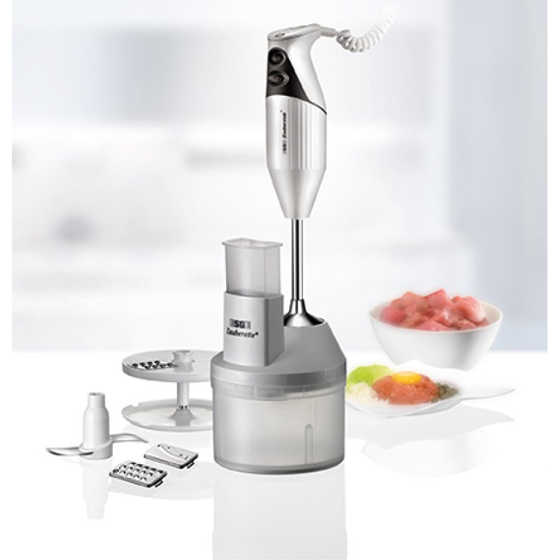 ESGE ESG 6500 Immersion blender Grey, Transparent, White