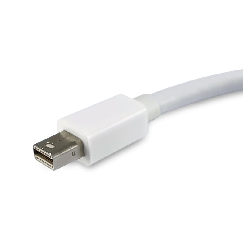 Equip Mini DisplayPort to DisplayPort adapter