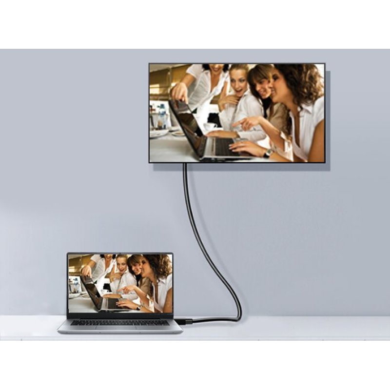 Equip 119332 Câble DisplayPort 1.2, 2,0m, 4K/60Hz