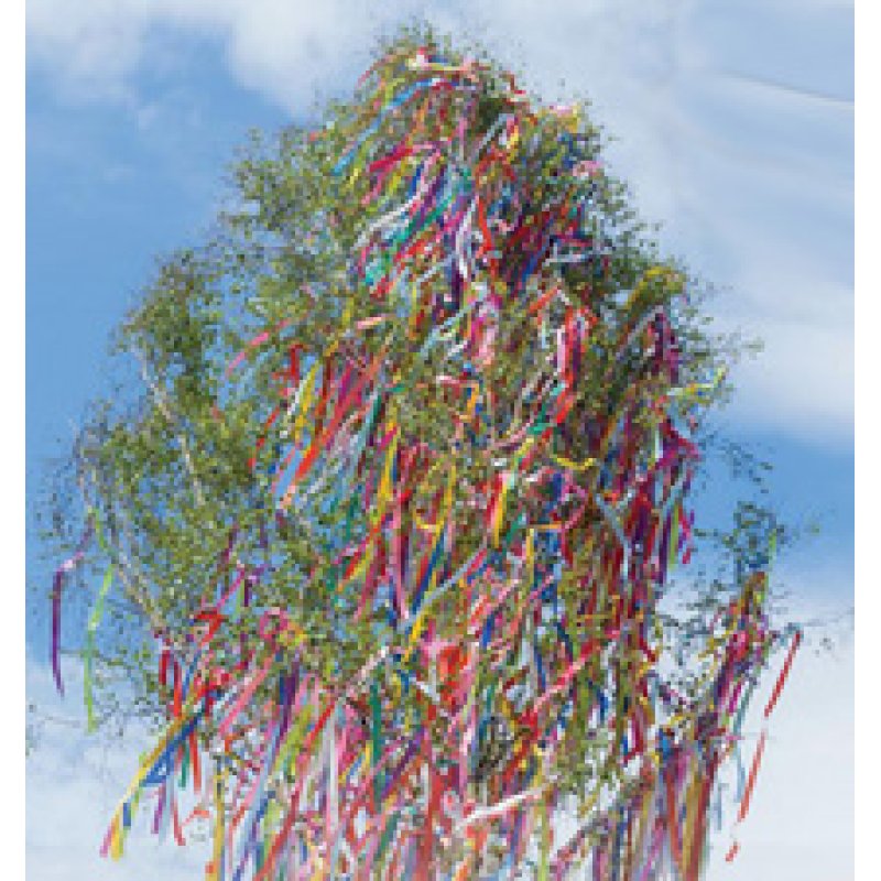 PAPSTAR Rouleau de papier crépon, 500 mm x 2,5 m, assorti