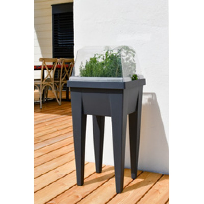 EDA Couvercle pour mini-jardinière "VEG&Table", transparent