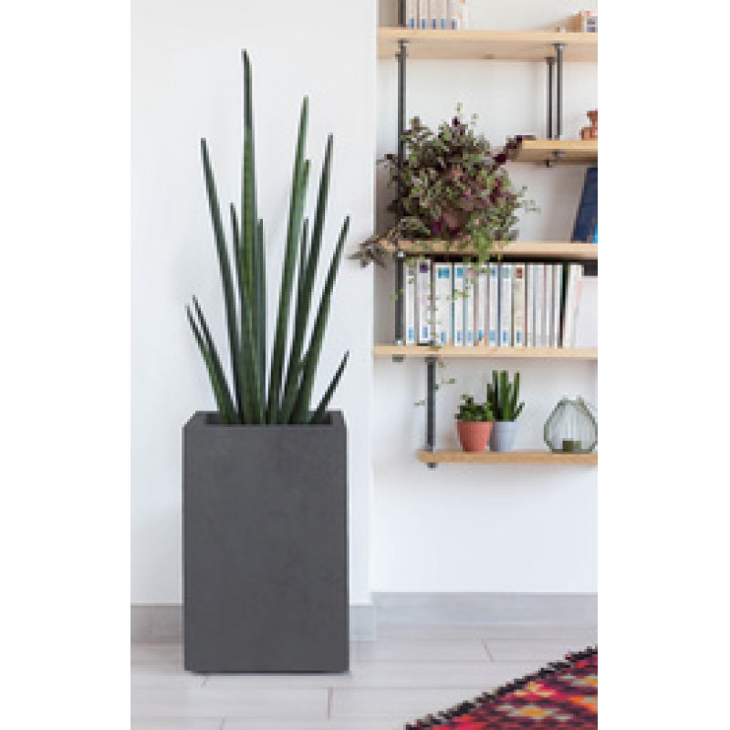 EDA Bac à plantes BASALT UP, colonne, (H)495 mm, anthracite