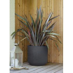 EDA Bac à plantes BASALT UP, rond, 485 mm, anthracite