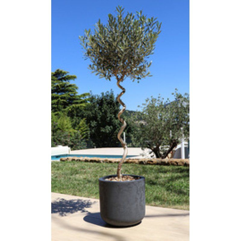 EDA Bac à plantes BASALT UP, rond, 485 mm, anthracite