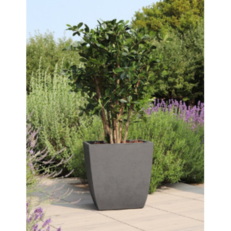 EDA Bac à plantes BASALT Diva, carré, 435 mm, anthracite