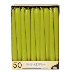Papstar 81763 wax candle Round Green, Olive 50 pc(s)