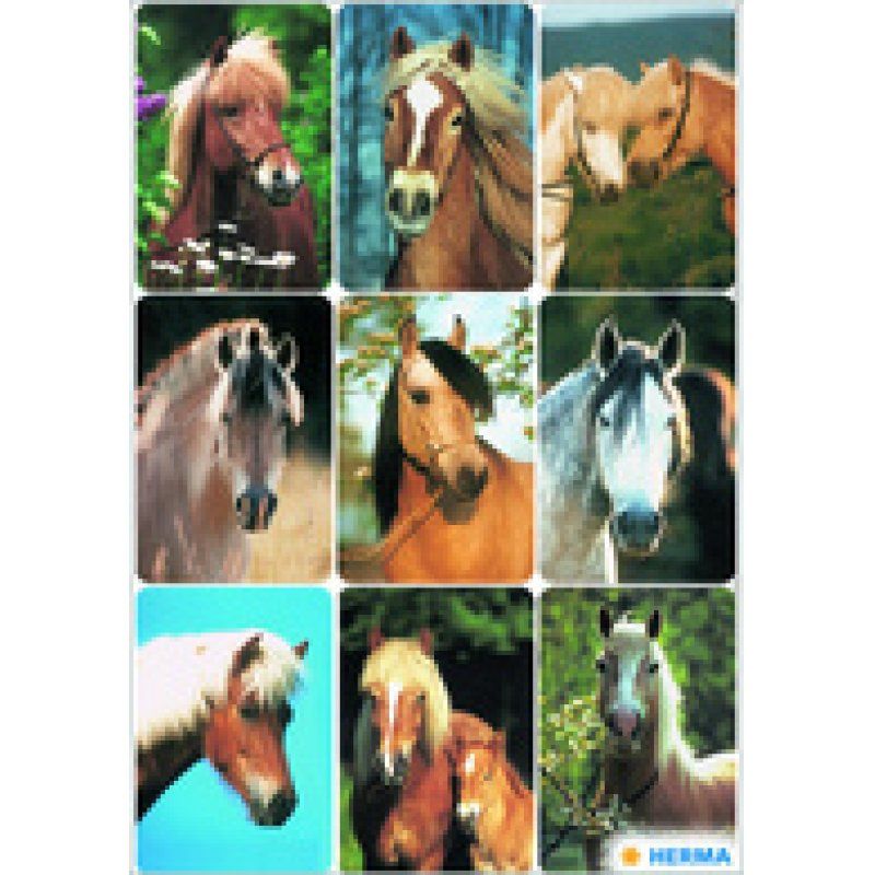 HERMA Sticker Horse World