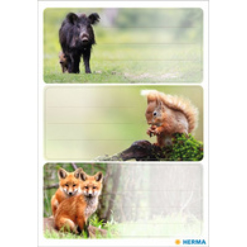 HERMA Étiquette pour livre VARIO Le monde des chevaux